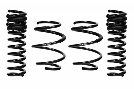 Eibach F80 Pro-Kit Performance Springs