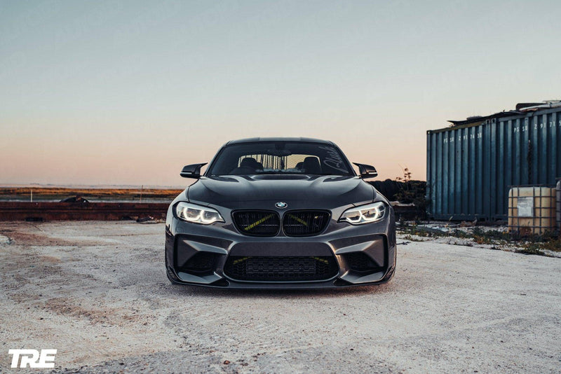 Load image into Gallery viewer, TREVORA BMW F87 M2 OG Pre-Preg Carbon Front Splitter
