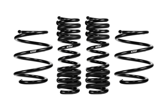 Eibach G80 xDrive Pro-Kit Performance Springs